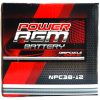 Power AGM NPC38-12 AGM Battery retail