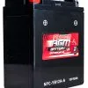 Power AGM NPC-YB12A-A Motorcycle Battery front and side