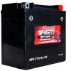 Power AGM NPC-YTX14L-BS Motorcycle Battery front and side
